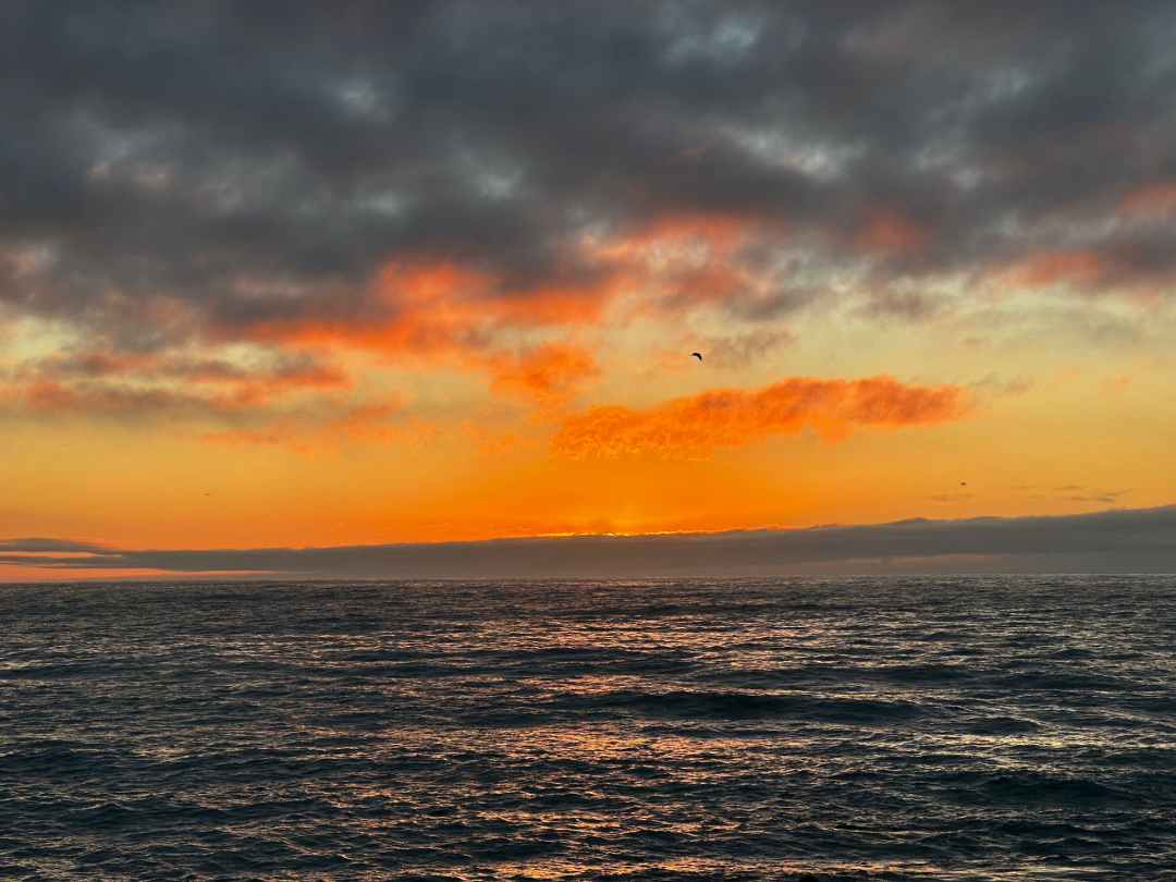 Timaru Sunrise